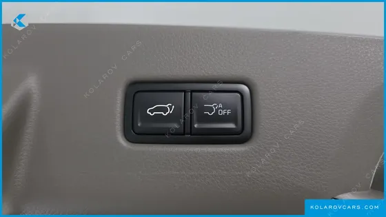 KIA CARNIVAL HEV 7-SEATER HI LIMOUSINE
