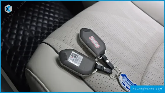 KIA CARNIVAL GASOLINE 9-SEATER HI LIMOUSINE (7-SEATER LIMOUSINE(SPECIAL VEHICLE)