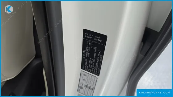KIA CARNIVAL GASOLINE 9-SEATER HI LIMOUSINE (7-SEATER LIMOUSINE(SPECIAL VEHICLE)