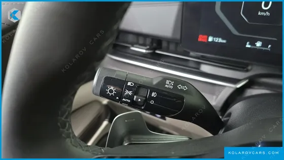 KIA CARNIVAL GASOLINE 9-SEATER HI LIMOUSINE (7-SEATER LIMOUSINE(SPECIAL VEHICLE)