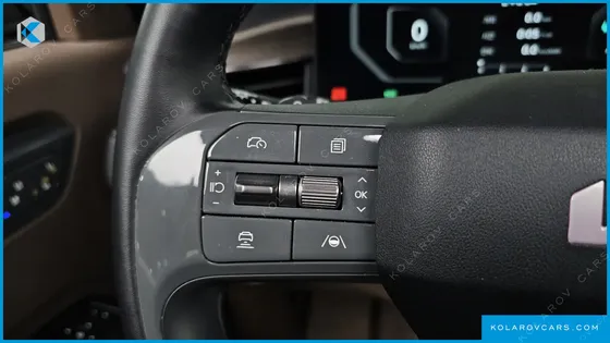 KIA EV9 LONG RANGE 4WD