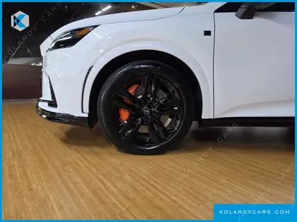 LEXUS RX F-SPORT