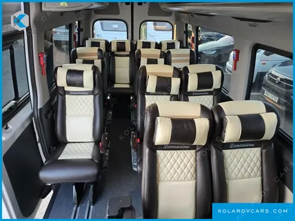 HYUNDAI SOLATI 15-SEATER