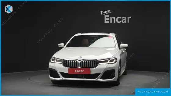 BMW 5 SERIES 520I M SPORT