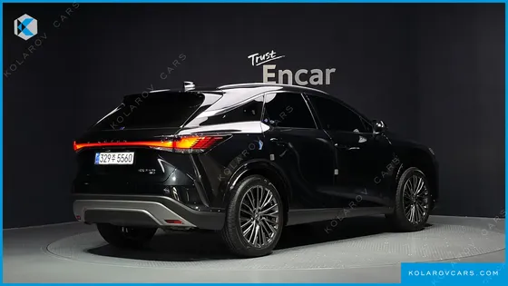 LEXUS RX LUXURY