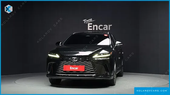 LEXUS RX LUXURY
