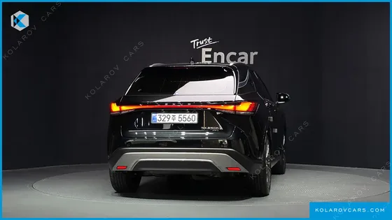 LEXUS RX LUXURY