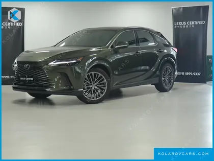 LEXUS RX LUXURY