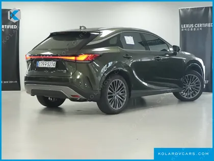 LEXUS RX LUXURY