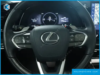LEXUS RX LUXURY