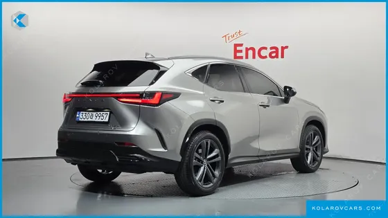 LEXUS NX PREMIUM