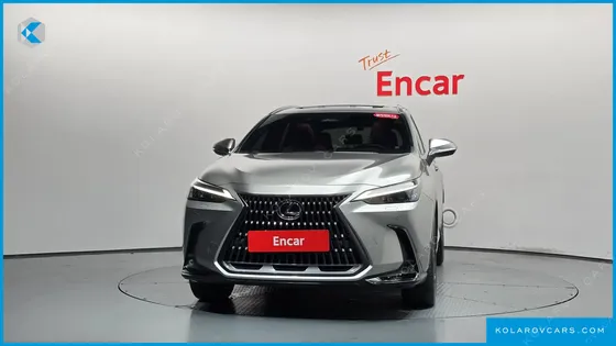 LEXUS NX PREMIUM