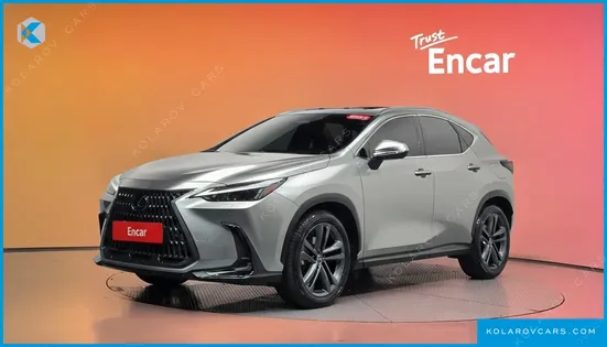 LEXUS NX PREMIUM