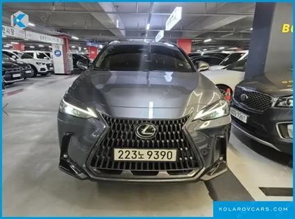 LEXUS NX PREMIUM