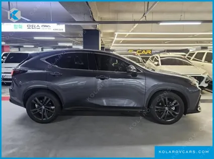 LEXUS NX PREMIUM