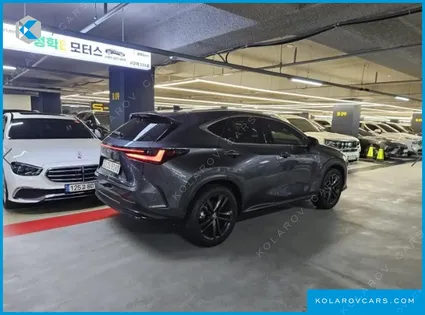 LEXUS NX PREMIUM