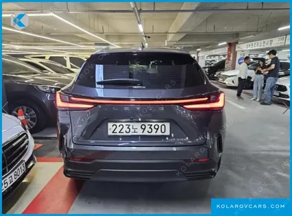 LEXUS NX PREMIUM