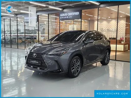 LEXUS NX LUXURY