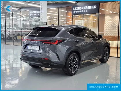 LEXUS NX LUXURY