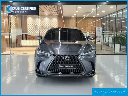 LEXUS NX LUXURY