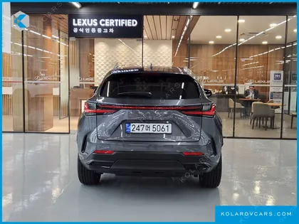 LEXUS NX LUXURY