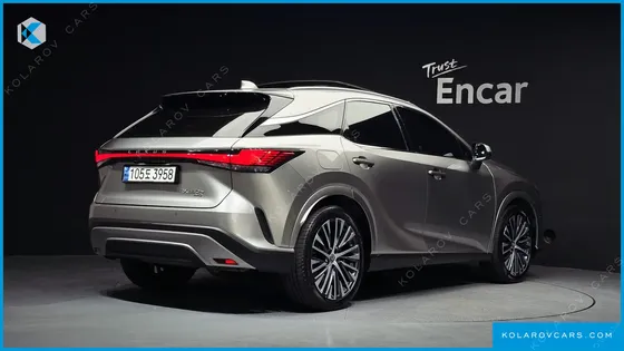 LEXUS RX LUXURY