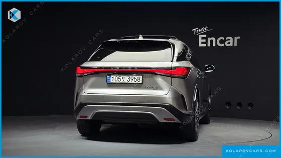 LEXUS RX LUXURY