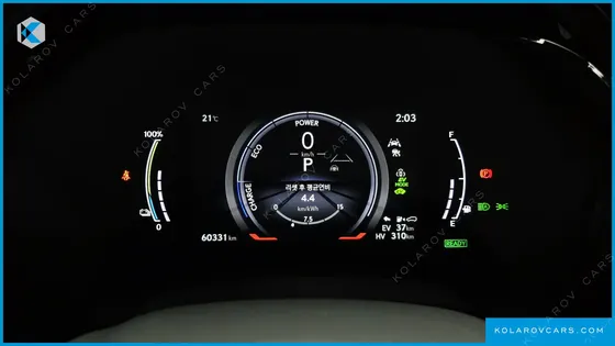 LEXUS RX LUXURY