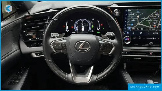 LEXUS RX LUXURY