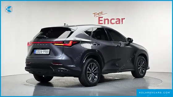 LEXUS NX PREMIUM