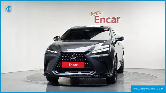 LEXUS NX PREMIUM