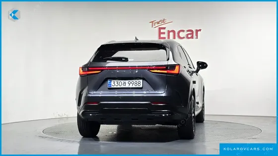 LEXUS NX PREMIUM