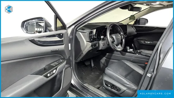 LEXUS NX PREMIUM