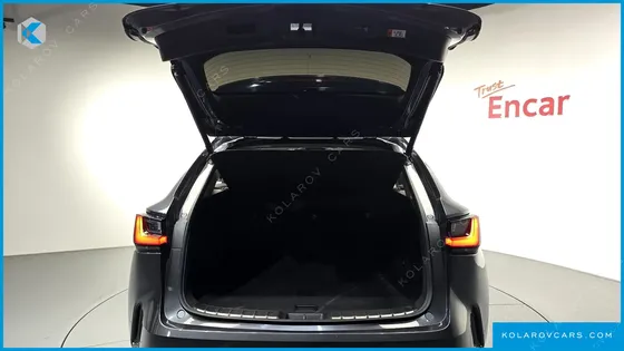 LEXUS NX PREMIUM