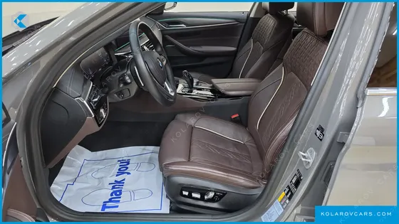 BMW 5 SERIES 530E LUXURY
