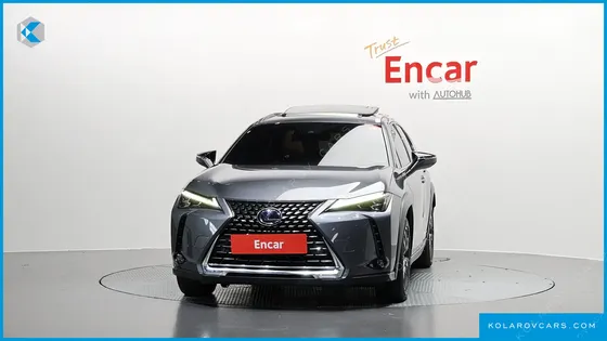 LEXUS UX 2.0 AWD
