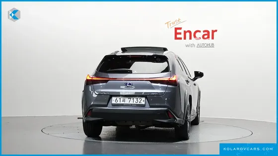 LEXUS UX 2.0 AWD
