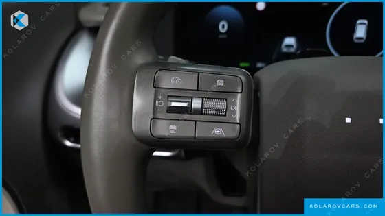 HYUNDAI IONIQ 9 CRUISE TYPE 2WD