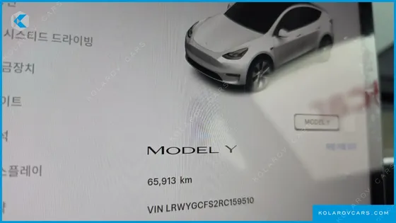TESLA MODEL Y RWD
