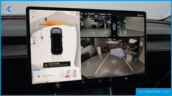 TESLA MODEL Y RWD