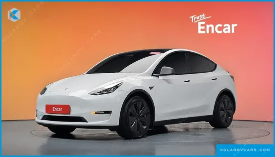 TESLA MODEL Y LONG RANGE AWD