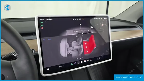 TESLA MODEL Y RWD