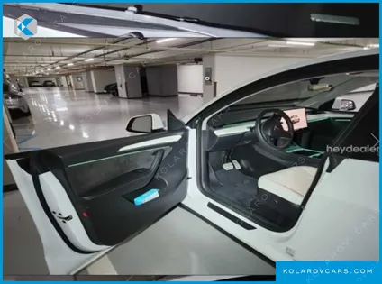 TESLA MODEL Y PERFORMANCE AWD