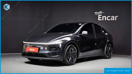 TESLA MODEL Y PREMIUM LONG RANGE AWD
