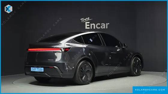 TESLA MODEL Y PREMIUM LONG RANGE AWD