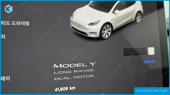 TESLA MODEL Y LONG RANGE AWD