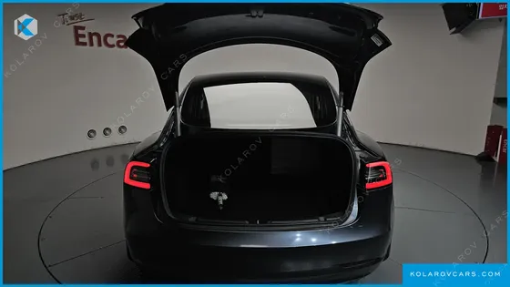 TESLA MODEL 3 PERFORMANCE AWD