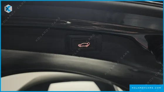 TESLA MODEL 3 PERFORMANCE AWD