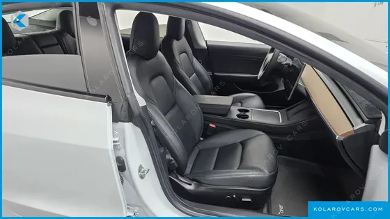 TESLA MODEL 3 STANDARD RANGE PLUE RWD