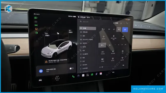 TESLA MODEL 3 STANDARD RANGE PLUE RWD